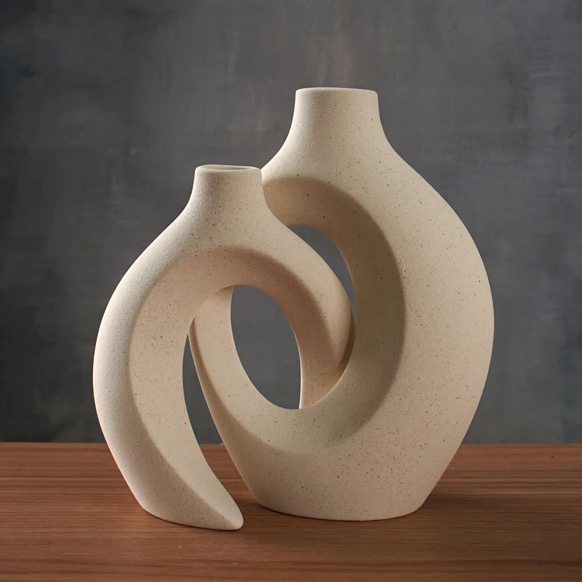 Modern Ceramic Hug Vase Set